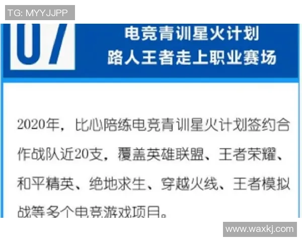 王者荣耀深度解析：FPX战队的成功之道与比赛经验分享